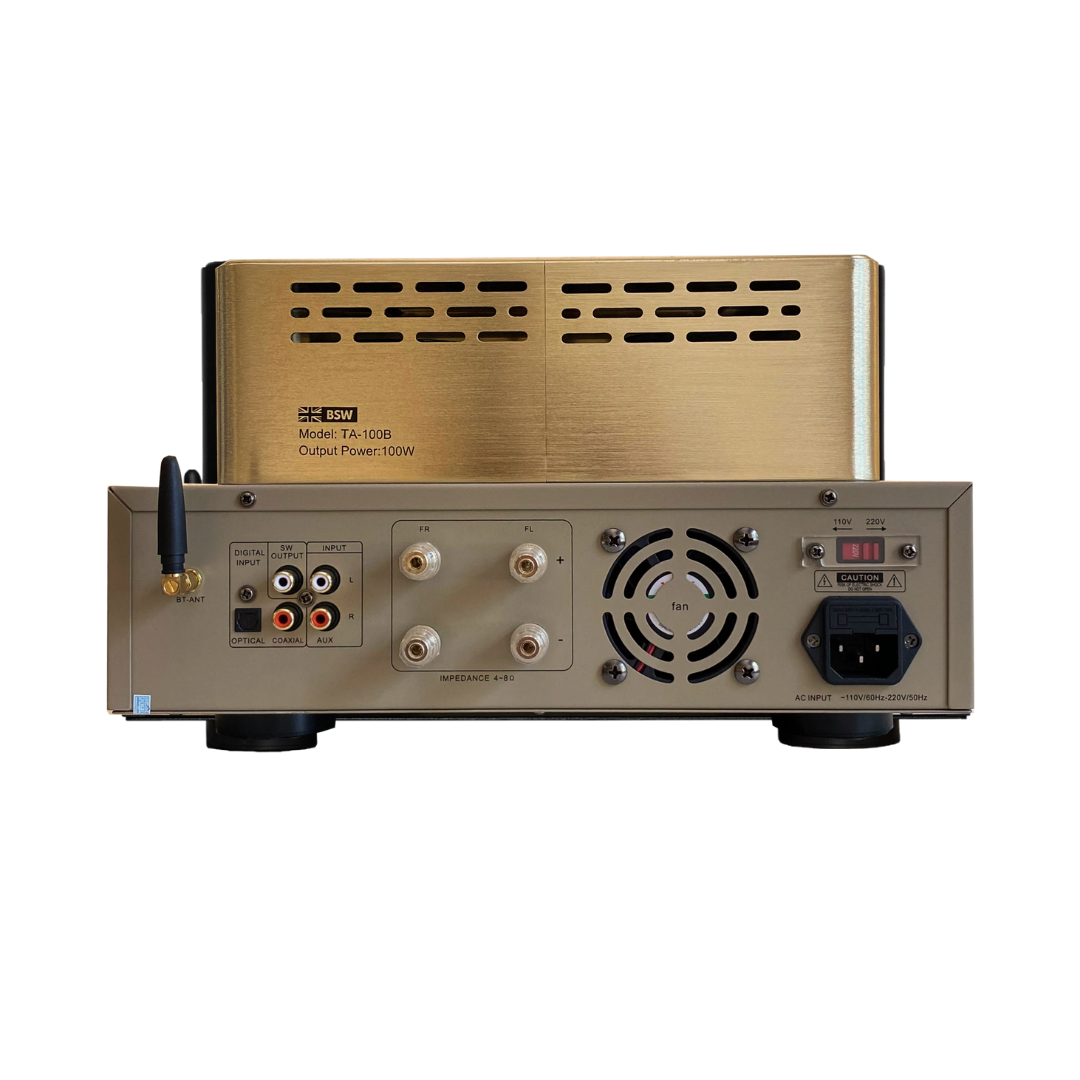 Amplificador HiFi a tubo BSW-HI100G